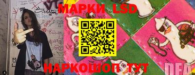 стаф Бийск