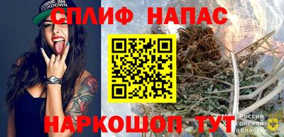 стаф Бийск