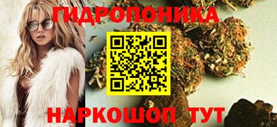 стаф Бийск