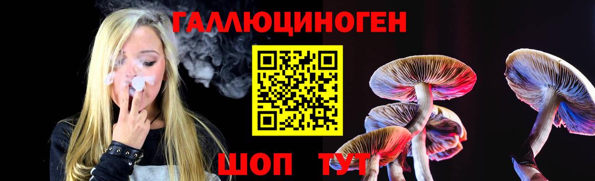 Карпинск  Псилоцибиновые грибы Psilocybe  даркнет сайт  Вход с VPN 